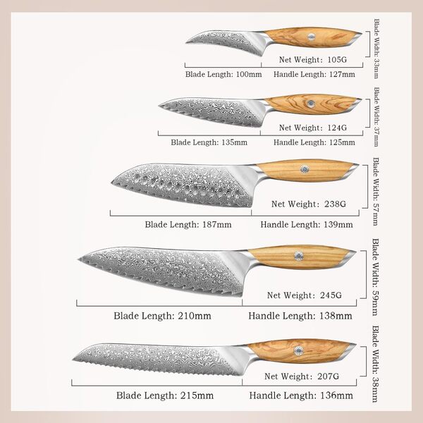 HEZHEN Ensembles de Couteaux de Cuisine Damas 5 Pièces, Set de Couteaux de Chef Professionnels en Acier Damas Couteau Santoku, Manche Ergonomique en Bois D'olivier