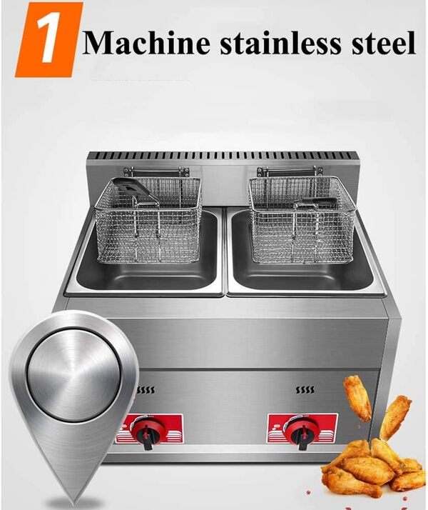 Friteuse commerciale 20L friteuse à gaz double panier comptoir à double réservoir frite en acier inoxydable robuste pour Restaurants