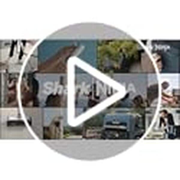 Ninja Woodfire Barbecue électrique et fumoir Pro XL avec thermomètre, barbecue et Air fryer d'extérieur 4-en-1 avec système Smart Cook et granulés Woodfire, portatif, gris/noir, OG850EU